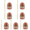 7Sets Tooth Brushing Model Resin Teeth Teaching Tool Assorted Color 7