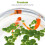 4Packs Plastic Duckweed Decor Green Artificial Floating Aquarium Plant 10