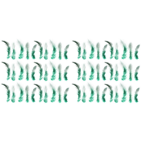 200Pcs Handpicked Green Natural for Creative DIY Projects 1