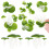 4Packs Plastic Duckweed Decor Green Artificial Floating Aquarium Plant 7
