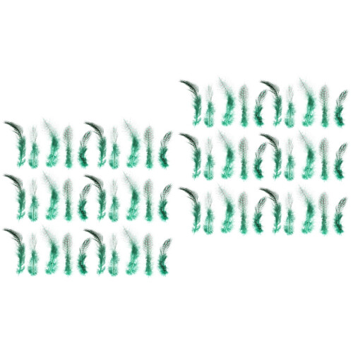 200Pcs Handpicked Green Natural for Creative DIY Projects 2