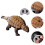 2Sets Electric Simulation Dinosaur Toy Coffee for Home Office Decor 9