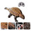 2Sets Electric Simulation Dinosaur Toy Coffee for Home Office Decor 7