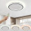 Living And Home 40cm Dia Modern LED Circular Ceiling Light 1