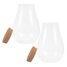 4Pcs Clear Glass Ecological Bottles for DIY Plants and Home Décor