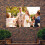 2Pcs Portable Grey Projector Screen Indoor Outdoor High Definition Use 11