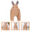 3Pièces Tenues Photo - Bébé Khaki Usage Cérémonies 10