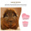 4Pièces Gamelles Céramiques Pour Petits Animaux Rose Durable 8