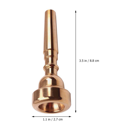 1Ensemble Kit Trompette Avec Brosse Flexible Acier Inox 1