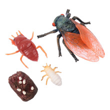 1 Set Plastic Animal Models Eco-Friendly Life Growth Cycle Toys