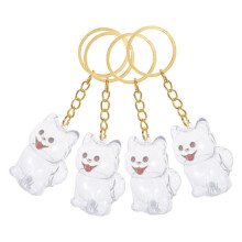 5 transparente Aufbewahrungsboxen für Hundehaare mit Design