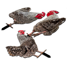 9Pcs Garden Acrylic Chicken Yard Stakes Assorted Color Lawn Decor