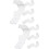 2Ensembles Porte-Batte Transparent Pour Baseball Softball 9