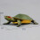 High Simulation Brazilian Tortoise Model For Kids 2