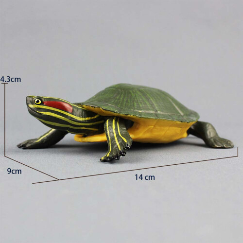 High Simulation Brazilian Tortoise Model For Kids 1