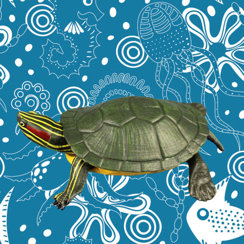 High Simulation Brazilian Tortoise Model For Kids 2