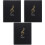 3 Pcs Binders Fireproof Music Department Folder Pp Sheet Holder 3