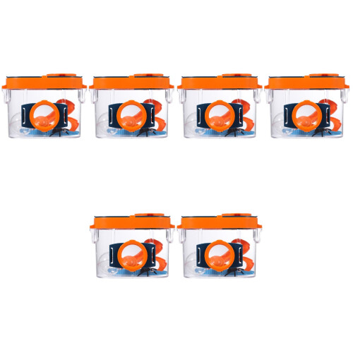 6Pcs Biology Teaching Props Magnifier Observation Boxes 2