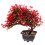 2 Pieces Artificial Welcome Pine Flower Potted Indoor 9
