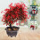 2 Pieces Artificial Welcome Pine Flower Potted Indoor 8
