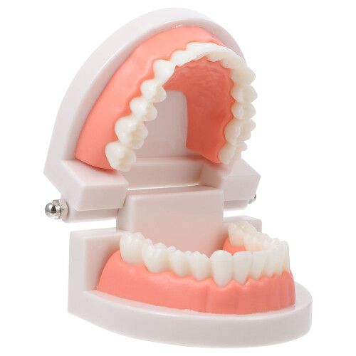 2Pièces Bucco- Rose Éducatifs Pour Maison