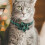 4Pcs Adjustable Christmas Cat Collar For Small Pets 7