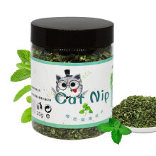 Organic Catnip for Cats | Premium Cat Nip for Interactive Play and Relaxation - Fresh Cat Mint Plant Set for Kittens