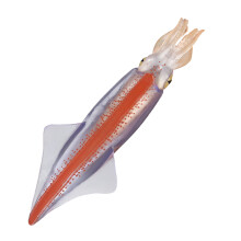 Squid Model Marine Animal Figurine Kids Science Educational Prop