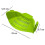 Snap N Strain Pot Strainer And Pasta Strainer-lime Green 5