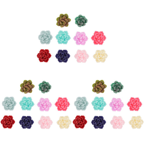 30Pièces Boucles D'oreilles Succulentes Colorées Pour Décor Et Cadeau 1
