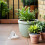 8 Pcs White The Fence Display Items Plastic 6