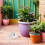 8 Pcs White The Fence Display Items Plastic 5