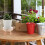 2 Pcs Shelf Rural Wooden Storage Stool 4