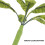 15 Pcs Mini Tree Models For Sand Table Landscape Decor Banana Palm 5