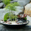 15 Pcs Mini Tree Models For Sand Table Landscape Decor Banana Palm 4