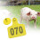 Farm Dier Oortang 100 6