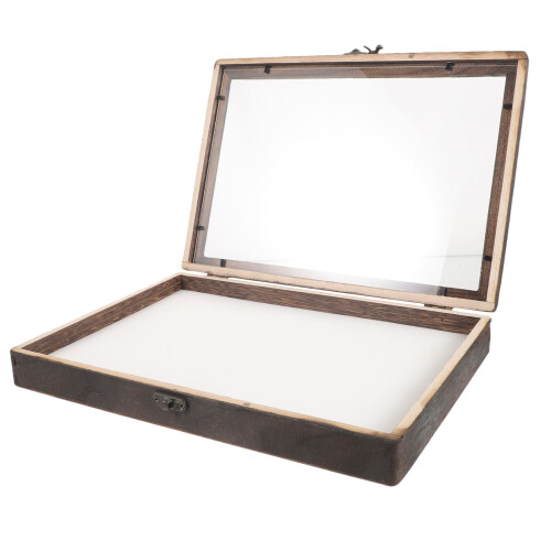 3 Sets Wooden Insect Display Case With Clear Window For Bug Collection
