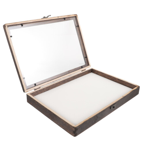 3 Sets Wooden Insect Display Case With Clear Window For Bug Collection 1