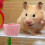 4 Pcs Hamster Ceramic Bowl Ceramics Feeding Tray Rabbit 5