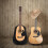 Multi Guitar Dust Cover Lint Black 1set 8