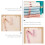 3 Pack Tshirt Folding Board Adult Shirts Boards Lazy Clothes Stacking 9