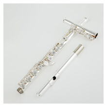 Professional Silver Plated C Key Flute 16 Key Open and Closed Hole with Case Clear Tone Projection