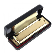 Harmonica for Adults C Key Diatonic 10 Hole 20 Tone Stainless Steel Gold Finish Beginner Friendly