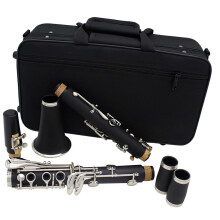 Bb Clarinet 17Key Wooden B Flat Clarinet for Beginners and Students with Case, Stable Sound Performance