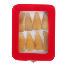 Guzheng Ox Horn Finger Picks Set with Fingertip Protection, Warm Tone, Durable and Smooth Design