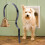 6Pièces Cloche Pour Facile Animaux 11