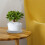 3pcs Ceramic Planter Tray Ceramics Flowerpot 5