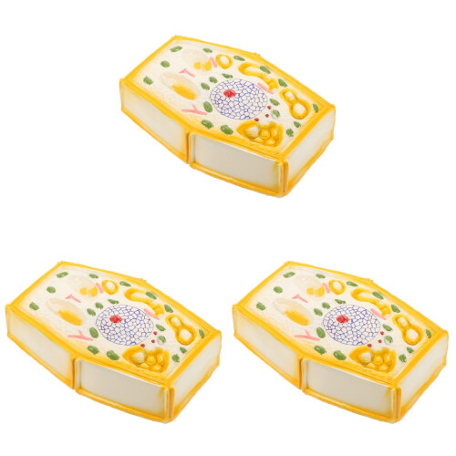 3Pcs Plant Cell Model For Biology Teaching 2