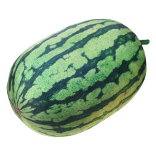 2Pcs Soft Green Watermelon Plush Pillows Cute Fruit Cushion Decor
