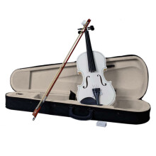 4/4 Full Size Acoustic Violin Set for Beginners with Case Bow Rosin, White Starter Kit